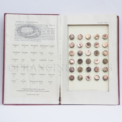 Altered book with gold covered, garden pollen samples on SEM stubs