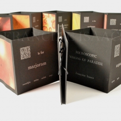 Double accordion alphabet book (detail)