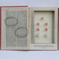 Altered book with glass vials used to receive pollen samples from Eden Project and National Botanic Garden of Wales